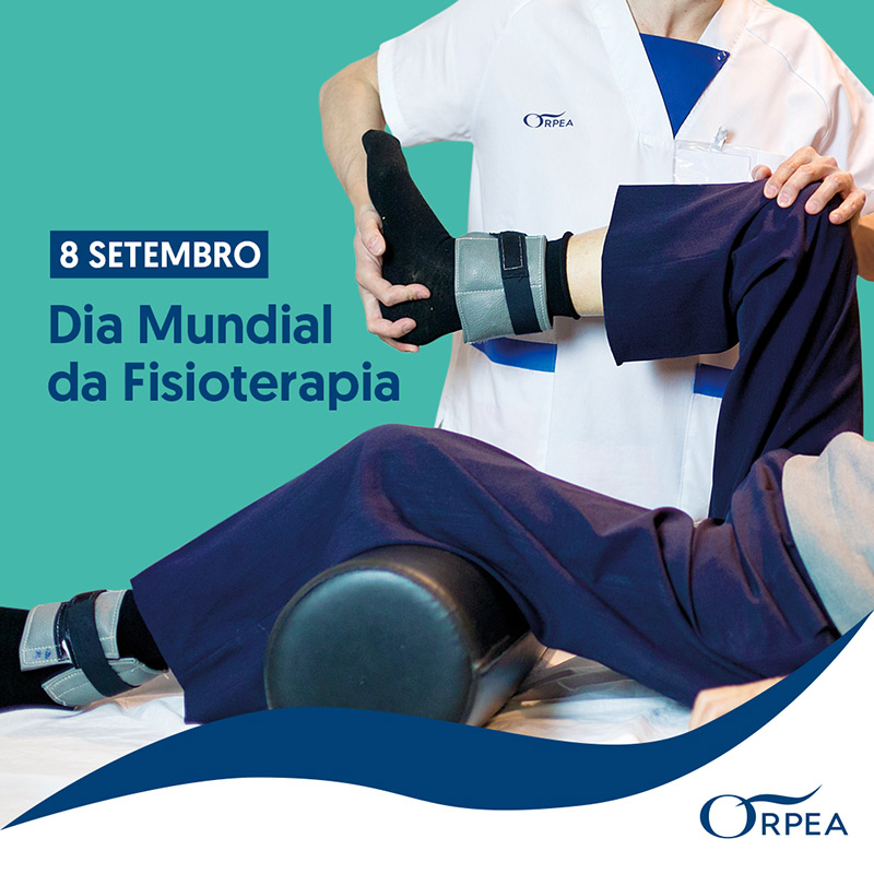 dia mundial da fisioterapia